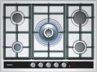 Поверхность SIEMENS ec 745rt90e