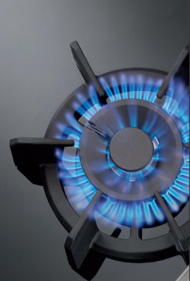 Поверхность NEFF n24k35n0 купить с доставкой по Москве и Московской области в интернет-магазине ТехноВегас