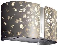 Вытяжка  FALMEC mirabilia 67 moon light vetro (800) ecp