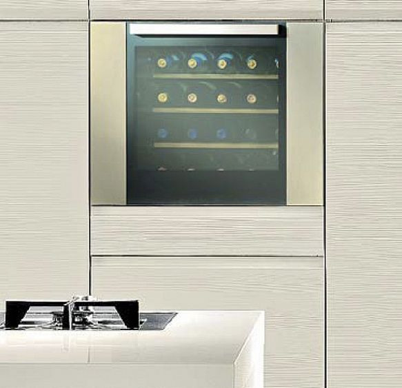 Винный шкаф INDEL B BUILTIN 24 Homme Plus купить с доставкой по Москве и Московской области в интернет-магазине ТехноВегас