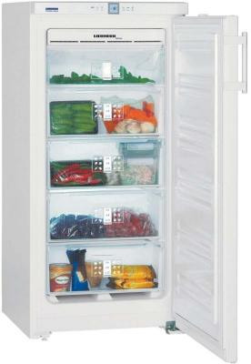 Морозильная камера LIEBHERR GNP 1956-23 001