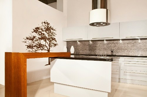 Вытяжка Faber CASSIOPEA ISOLA EG10 X/V A50 (арт.110.0157.062) купить с доставкой по Москве и Московской области в интернет-магазине ТехноВегас