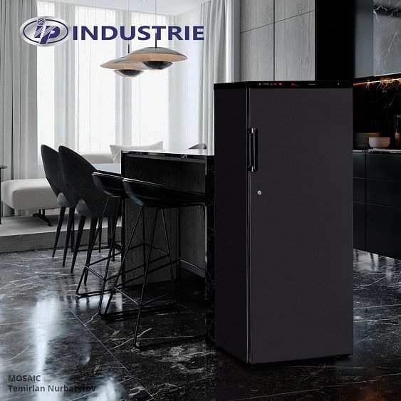 Шкаф для хранения мяса IP INDUSTRIE SAL 300 CF купить с доставкой по Москве и Московской области в интернет-магазине ТехноВегас