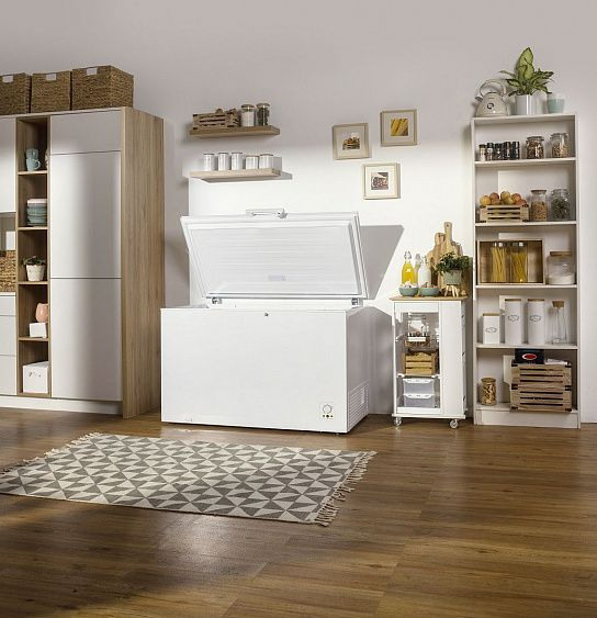 Морозильник-ларь GORENJE FH401CW купить с доставкой по Москве и Московской области в интернет-магазине ТехноВегас