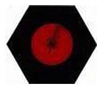 Варочная панель Kuppersbusch EKWH 320.14