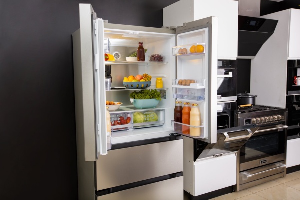 ХОЛОДИЛЬНИК KAISER KS 80420 R купить с доставкой по Москве и Московской области в интернет-магазине ТехноВегас