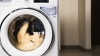 Стиральная машина Whirlpool FWSD 81283 WCV купить с доставкой по Москве и Московской области в интернет-магазине ТехноВегас