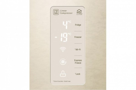 Холодильник LG GC-B247SEDC купить с доставкой по Москве и Московской области в интернет-магазине ТехноВегас