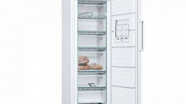 Морозильная камера BOSCH GSV29VW21R