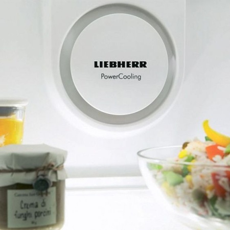 Холодильник LIEBHERR KBbs 4260 купить с доставкой по Москве и Московской области в интернет-магазине ТехноВегас