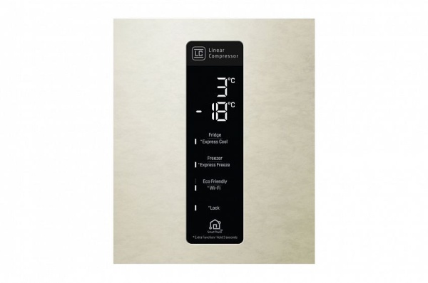 Холодильник LG GC-B569PECZ купить с доставкой по Москве и Московской области в интернет-магазине ТехноВегас