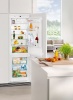 Холодильник LIEBHERR ICUS 2924 купить с доставкой по Москве и Московской области в интернет-магазине ТехноВегас