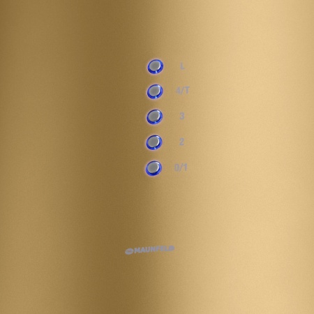 Вытяжка MAUNFELD LEE WALL (C) 39 GOLD купить с доставкой по Москве и Московской области в интернет-магазине ТехноВегас